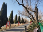 风景照
