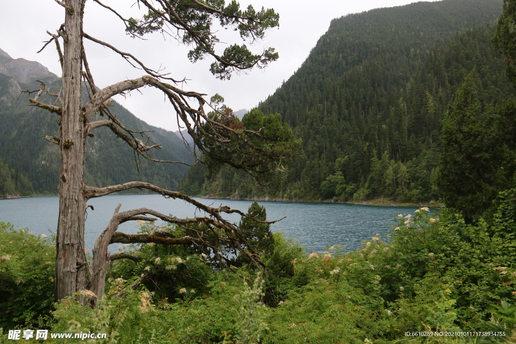 九寨沟风景