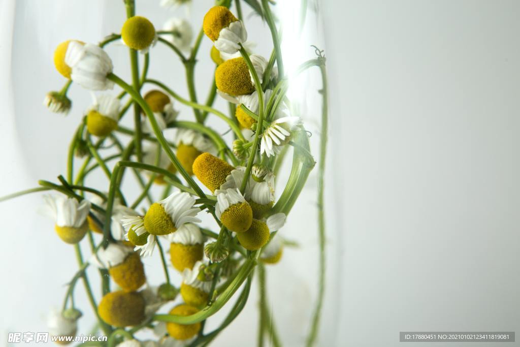 花卉