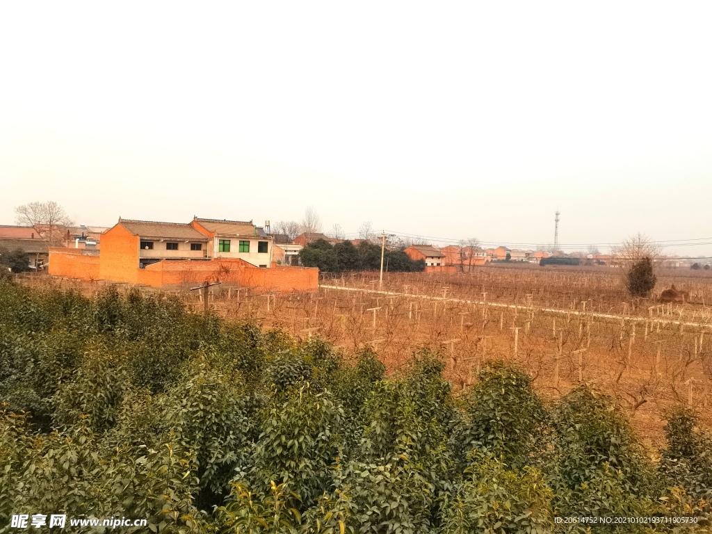 美丽的乡村风景