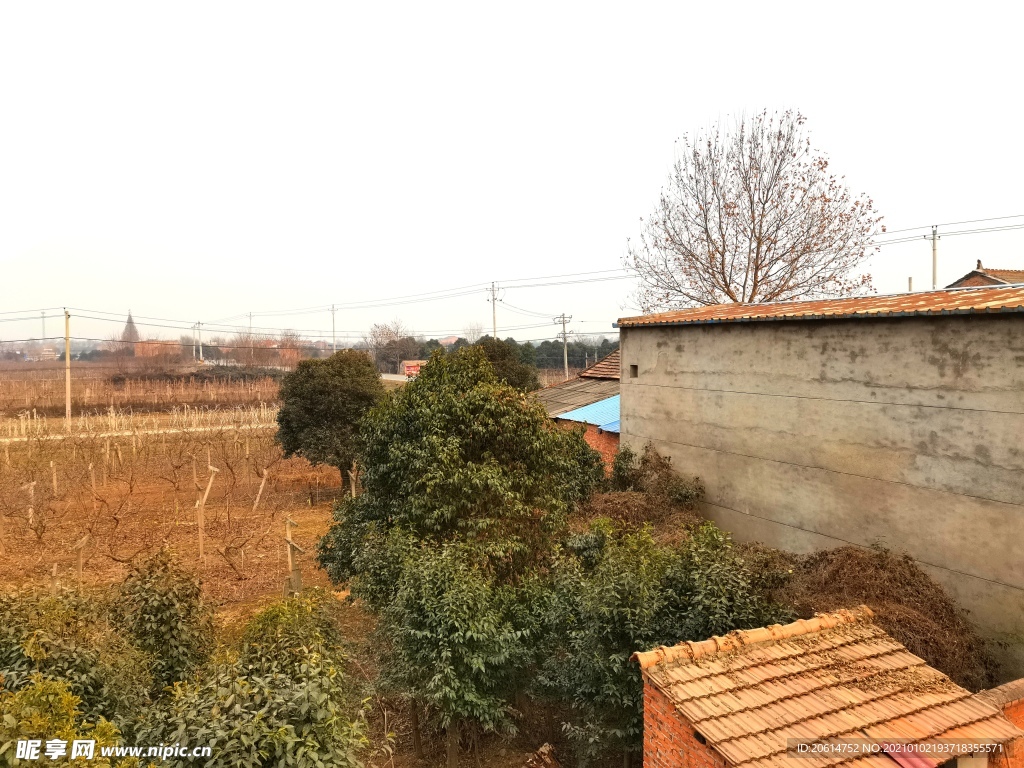 美丽的乡村风景