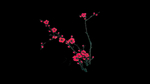 中国风梅花