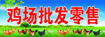 鸡场批发零售