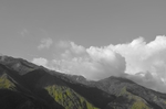风景