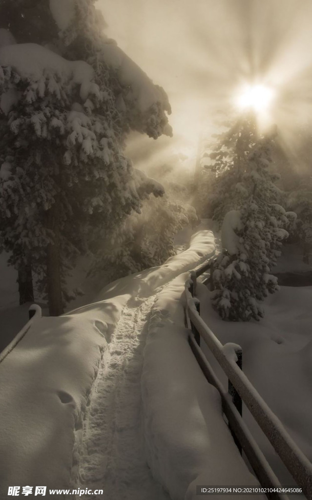 雪景