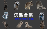 青蛙 蛙 癞蛤蟆 蟾蜍 稻田