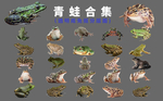 青蛙合集
