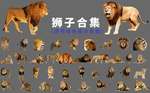 狮子