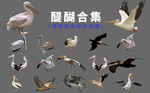 醍醐