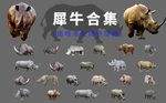 犀牛