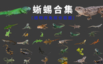 蜥蜴