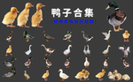 鸭子
