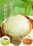 包菜
