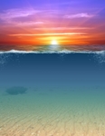 海洋背景