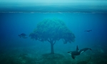 海底世界