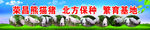 养猪场