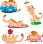 猫 上叁拾贰