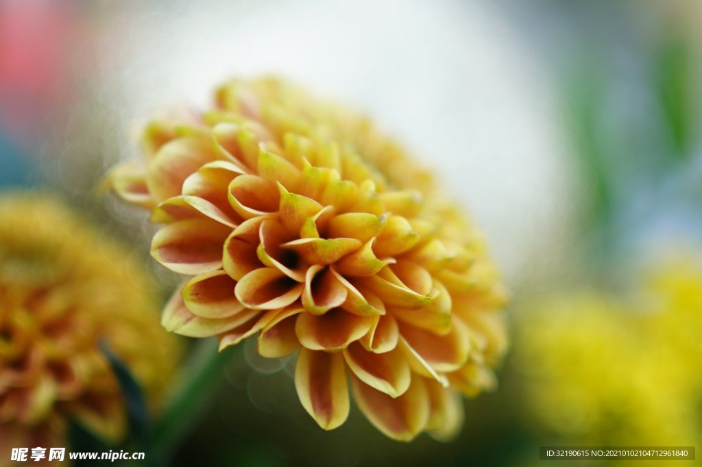 花