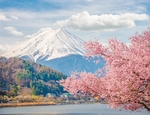 富士山
