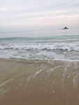 大海