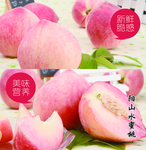 水蜜桃海报展板