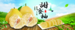 柚子展板海报