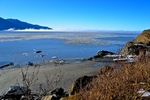 大海