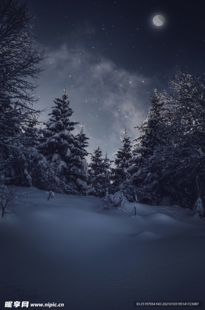 雪景