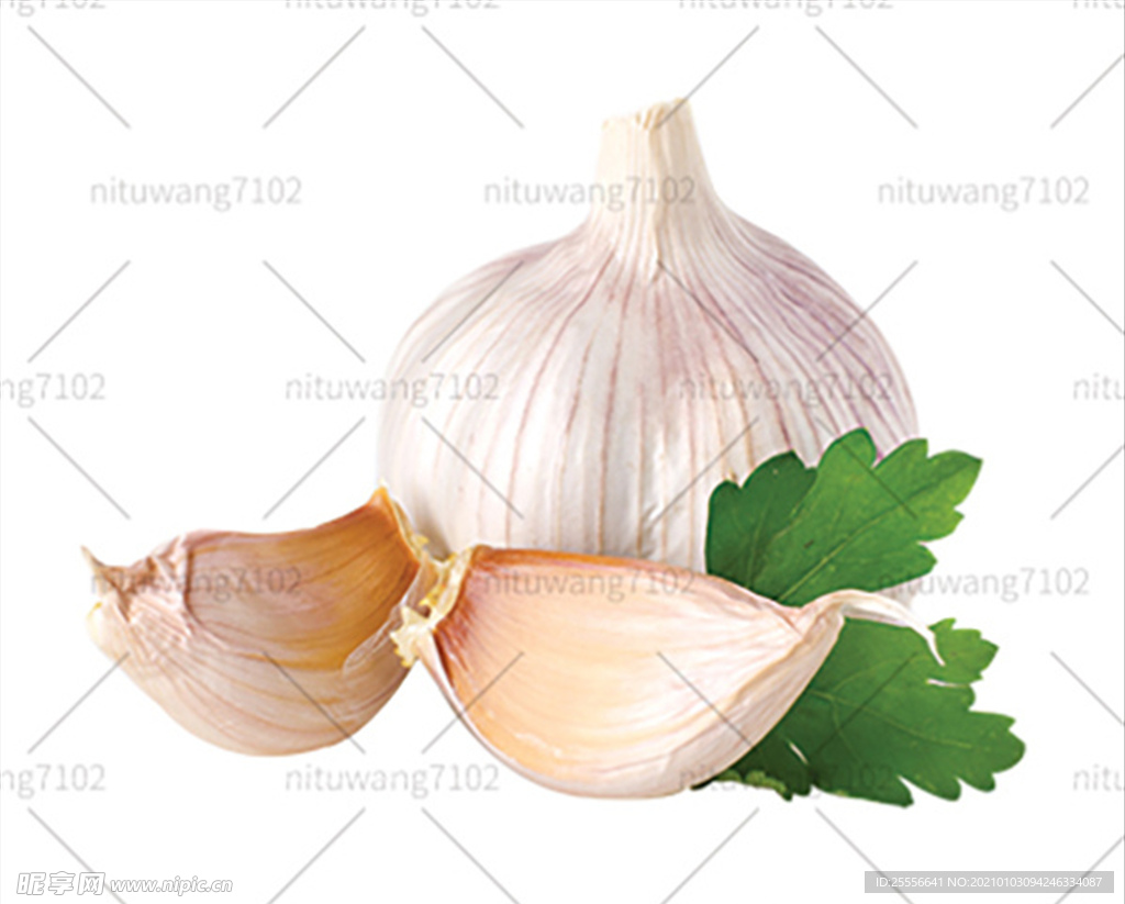 蒜