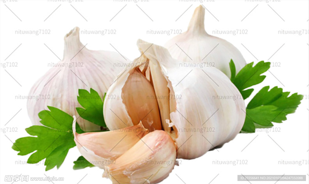 蒜头