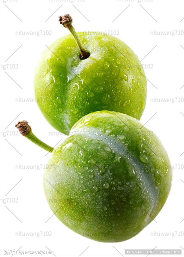 李子