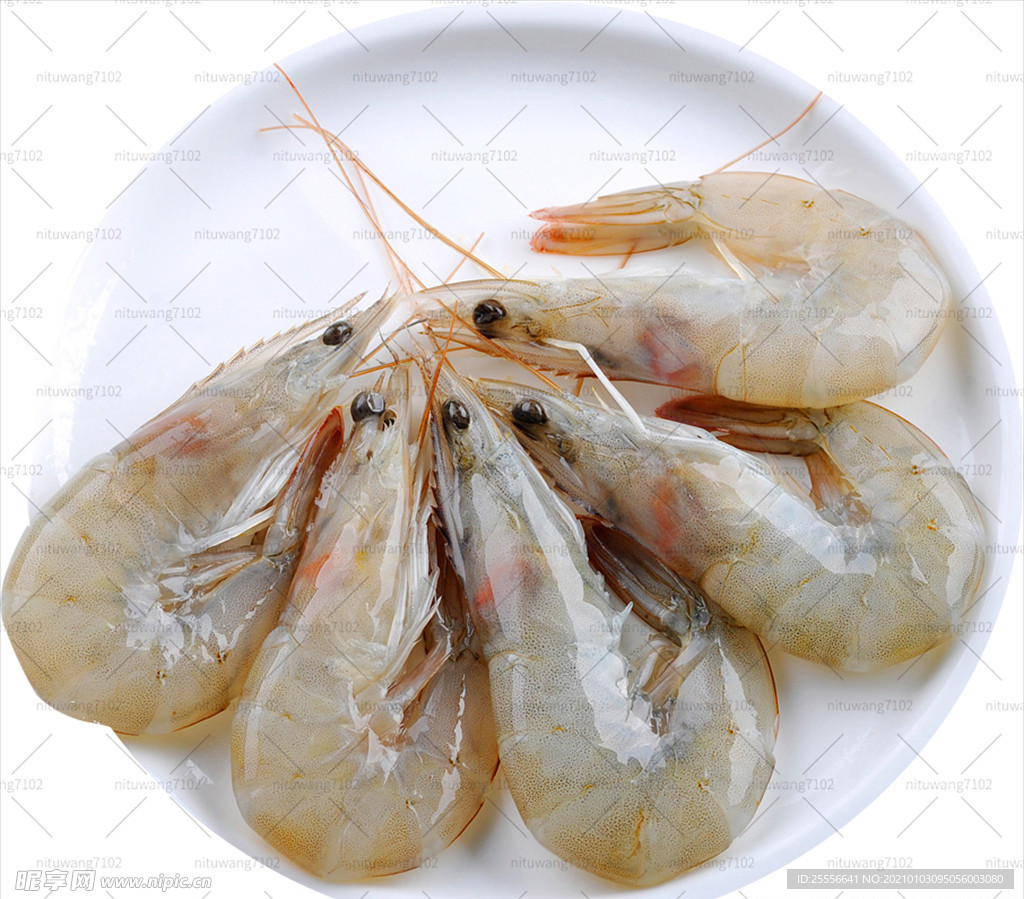 虾 龙虾 一盘虾