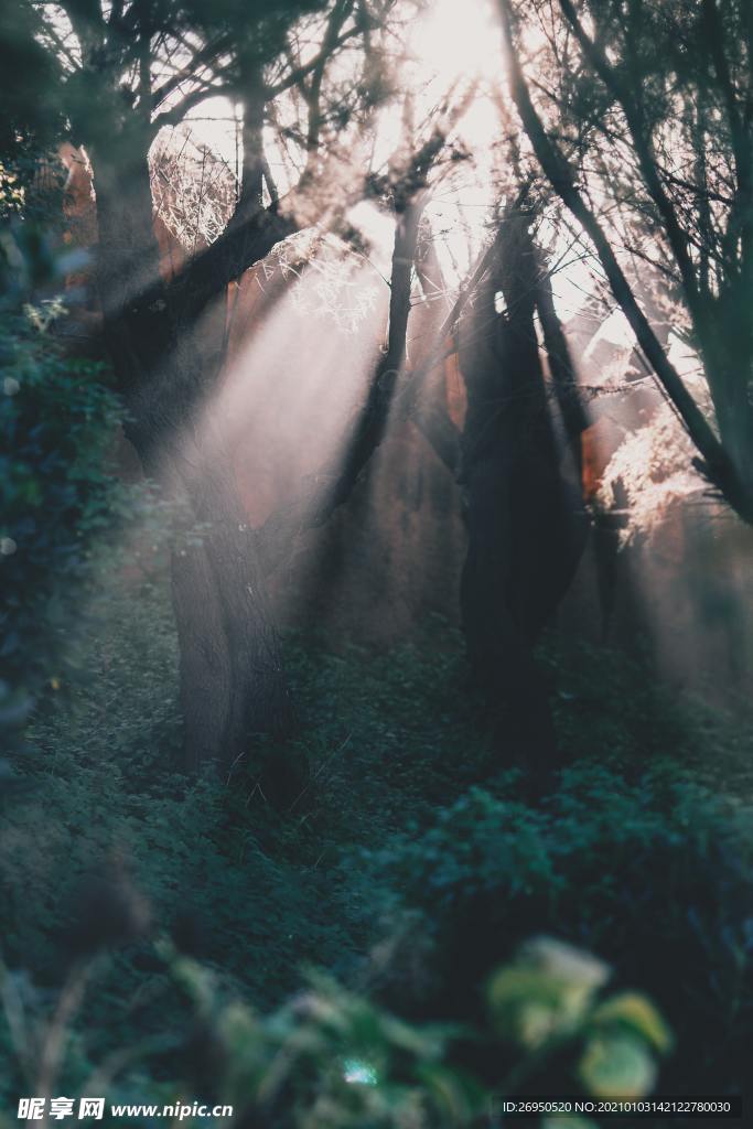 自然景观 山水风景 自然风景