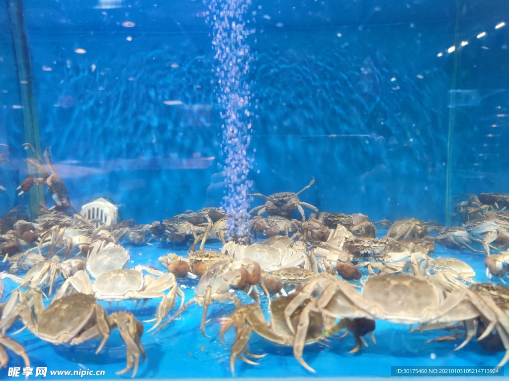 蟹 海鲜