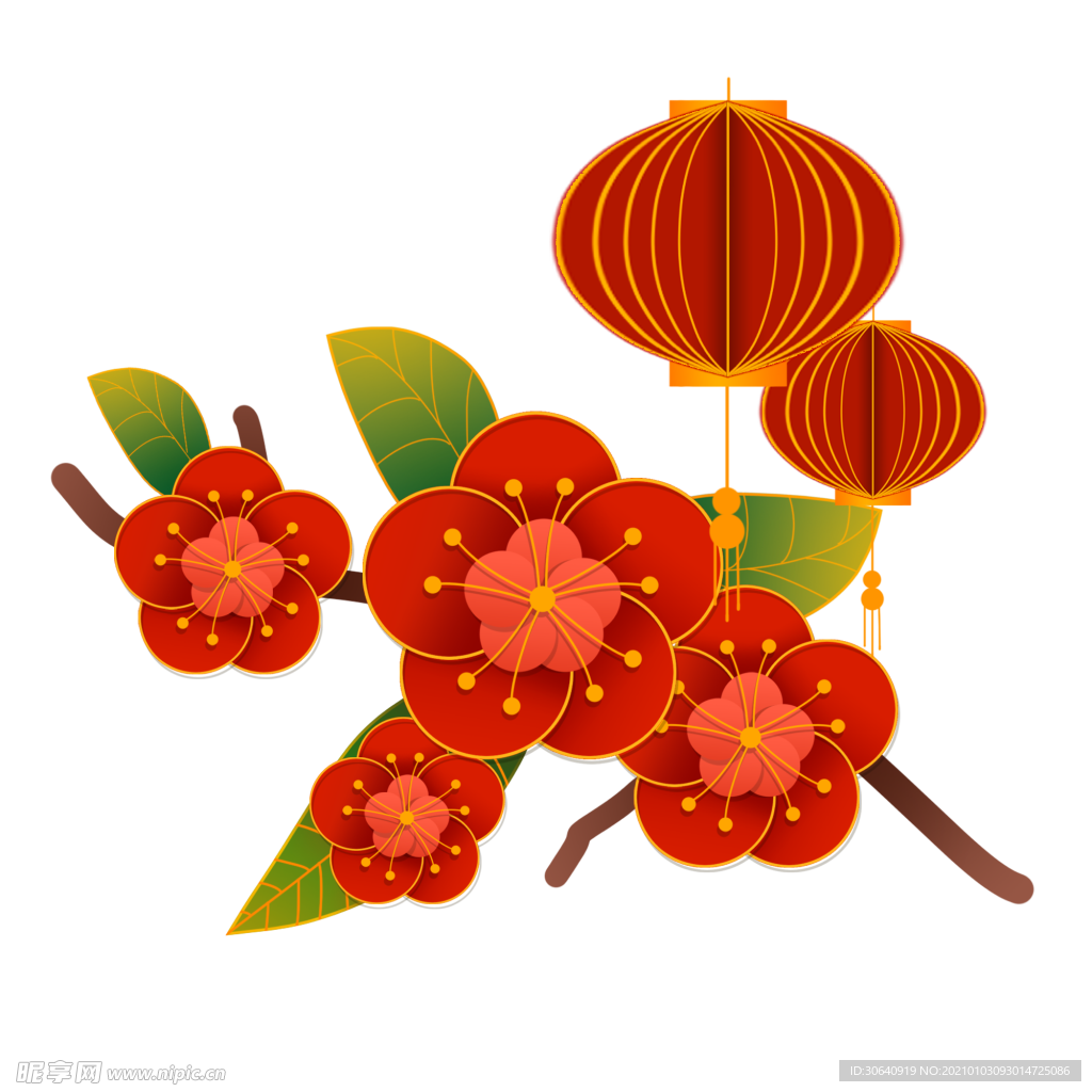 灯笼花