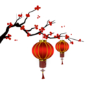 牛年花