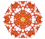 花纹