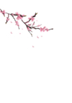 花元素
