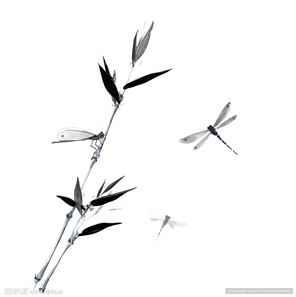 蜻蜓