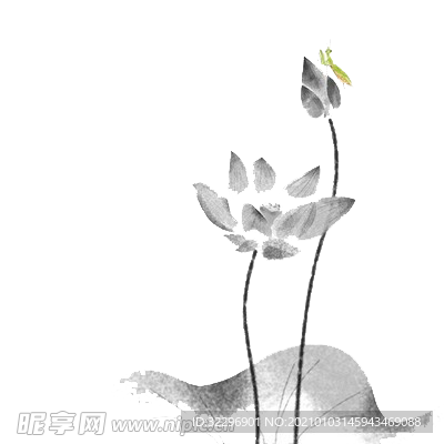 荷叶元素
