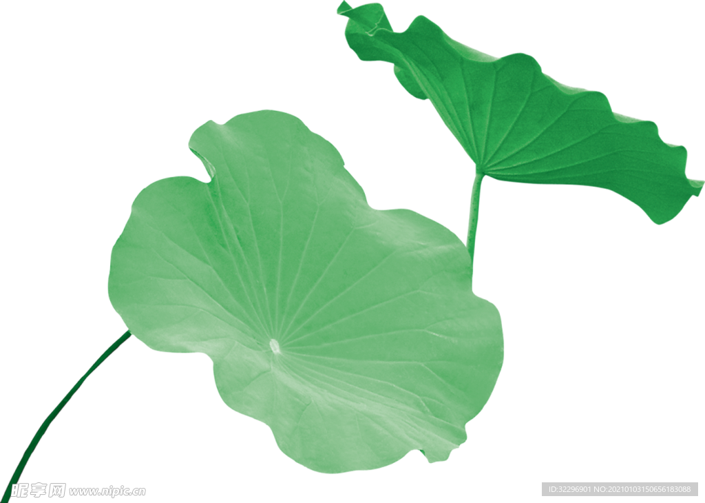 荷叶元素