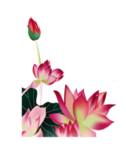荷花元素