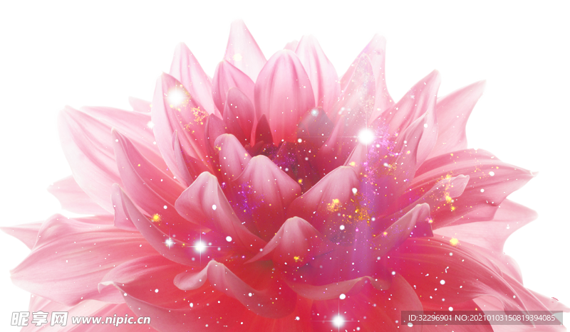 花元素