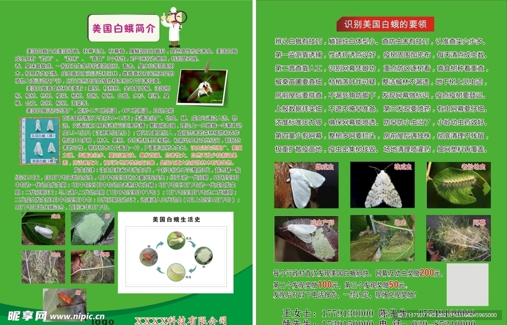 林业美国白蛾彩页