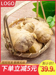 生鲜蔬菜生姜直通车主图750