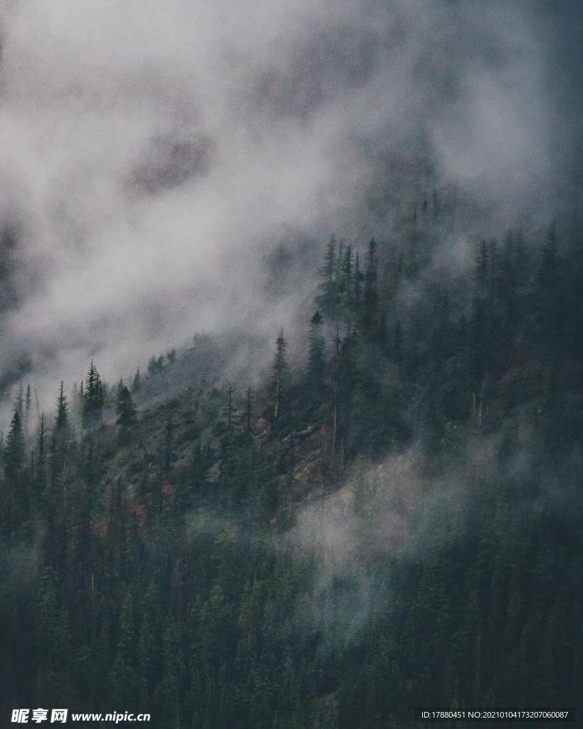 山林