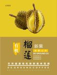 榴莲海报