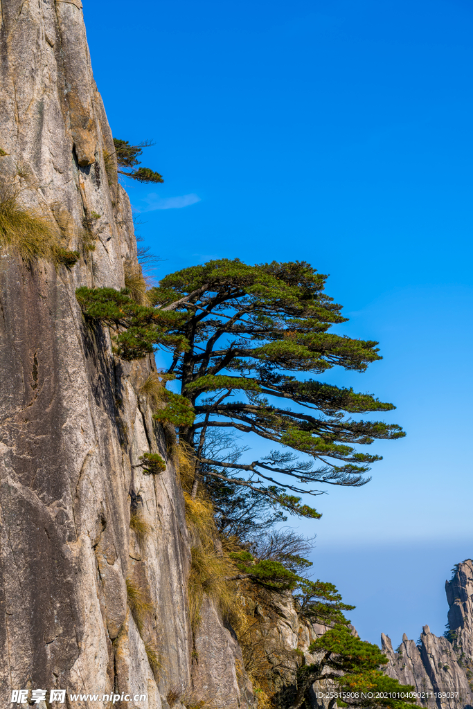 黄山