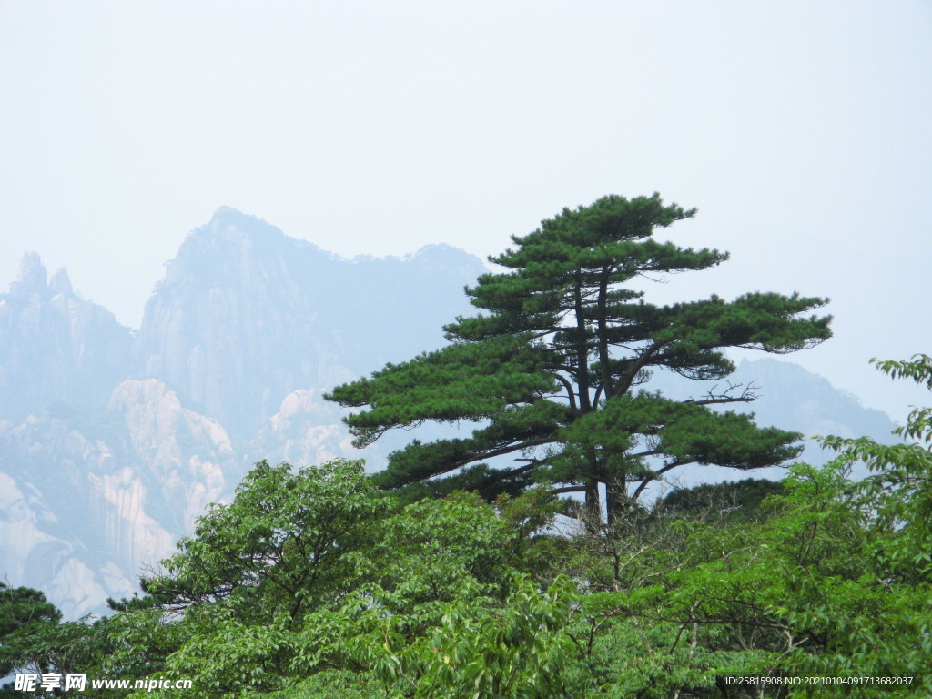 黄山