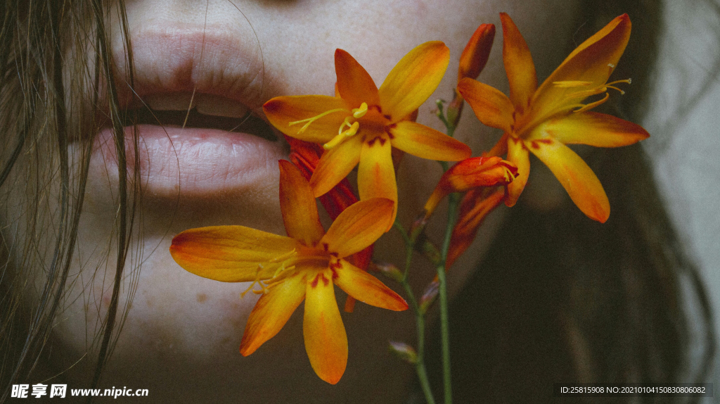 百合花